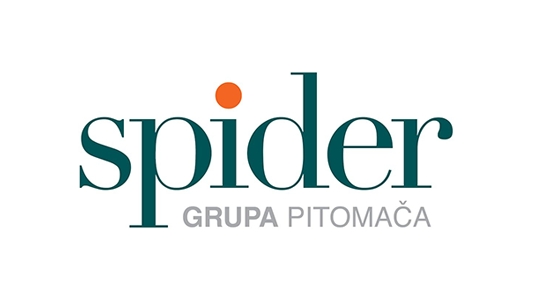Spider Grupa