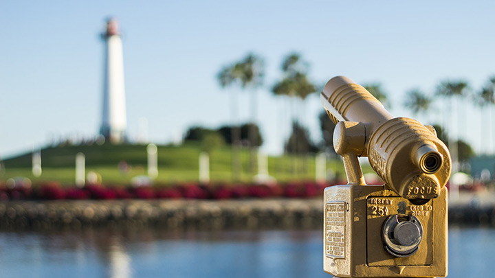 Marketing & Branding | T&MC Group